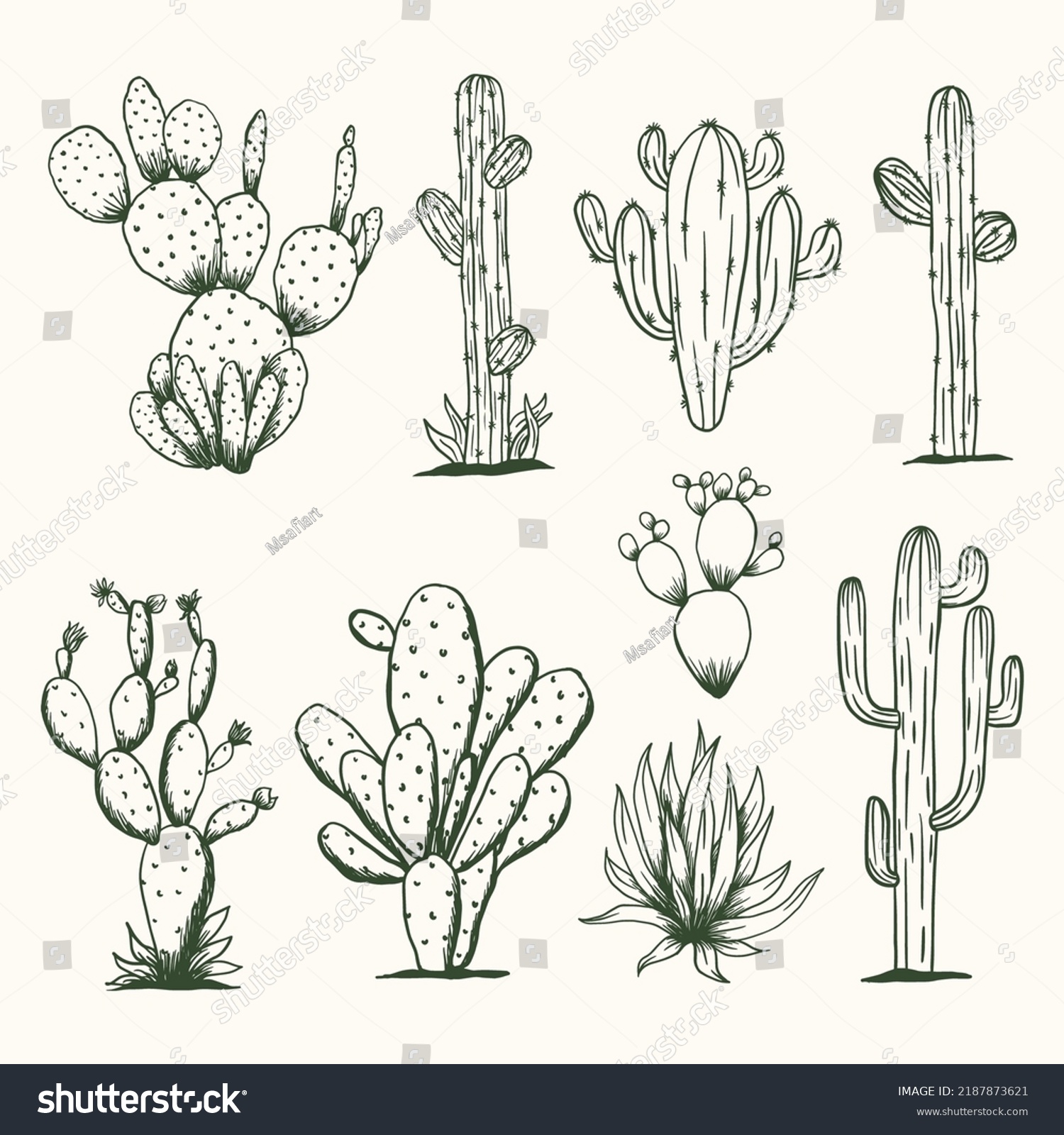 Hand Drawn cactus vector illustration. A set of vector illustration linear cactuses. Cactus vector illustrations. Hand drawn outline cactus set. #2187873621