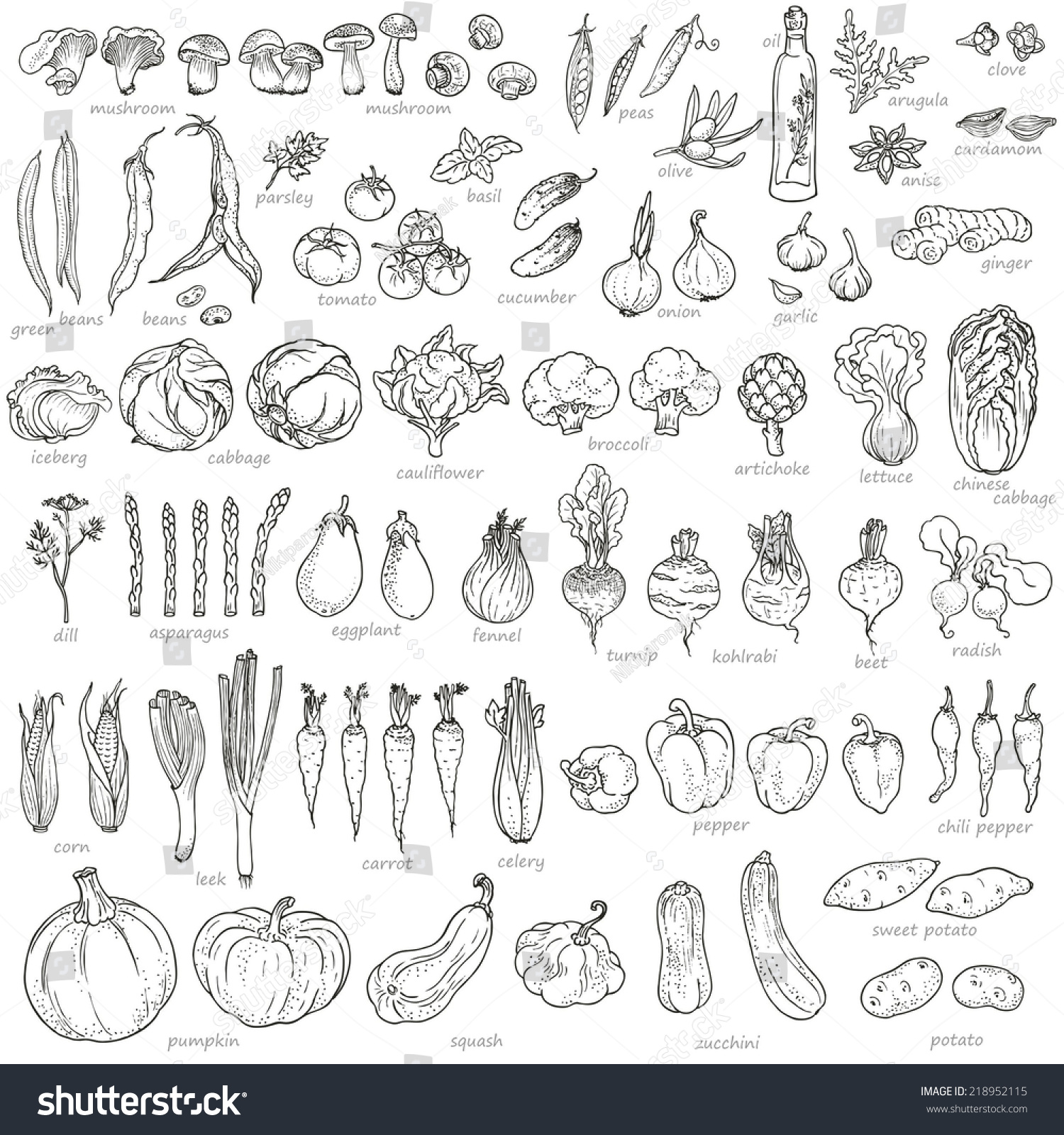 Big collection of hand-drawn vegetables and spices, vector illustration in vintage style.  #218952115