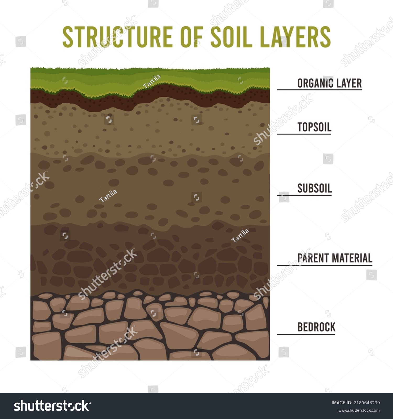 Soil layers. Cartoon geology ground structure - Royalty Free Stock ...