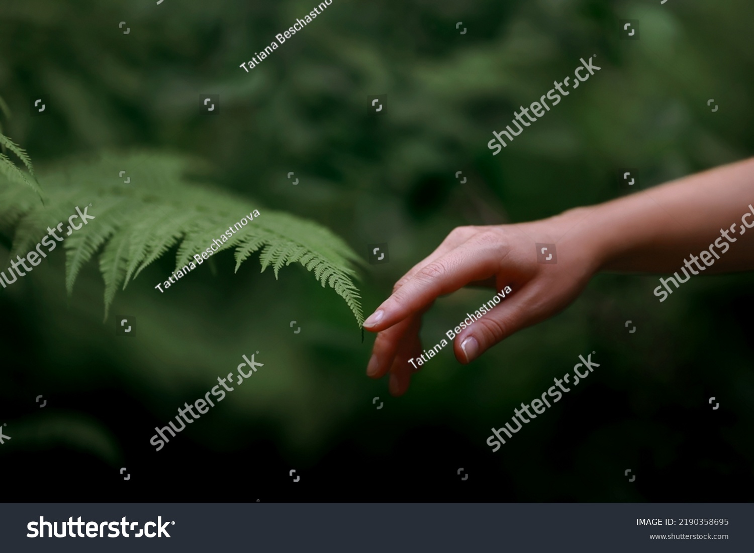A woman's hand and a fern leaf. Man and nature #2190358695