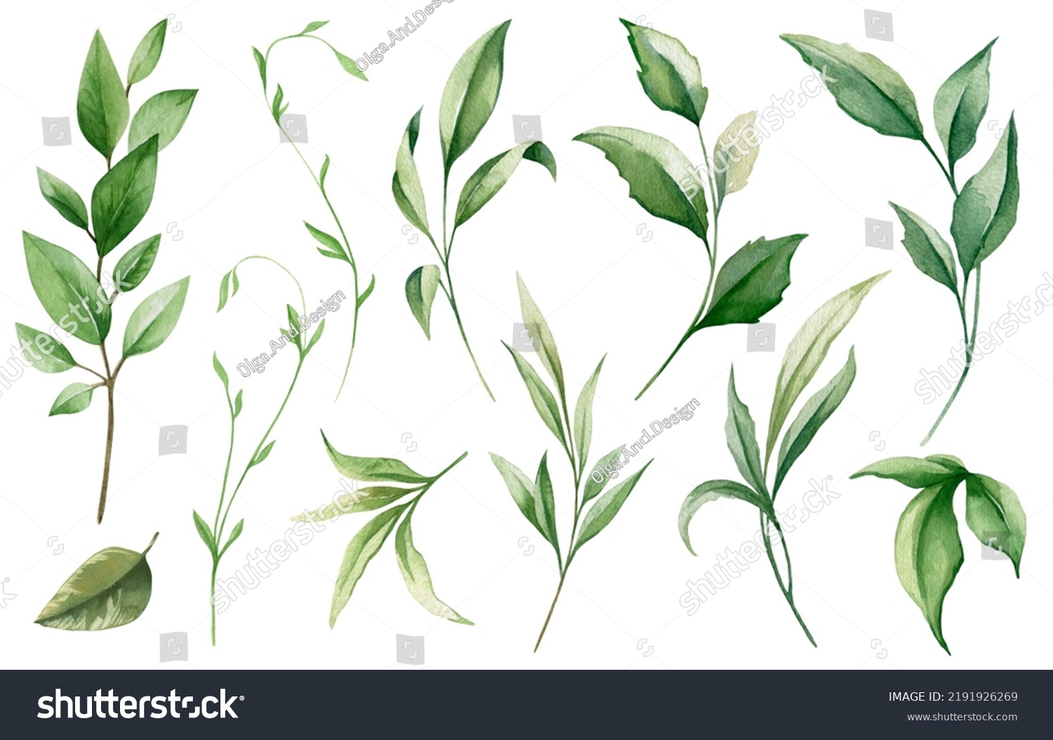 Watercolor floral collection. Illustration set with green wild leaves. Botanic illustration isolated on white background for wedding, greetings, wallpapers, fashion, backgrounds, wrappers, print #2191926269