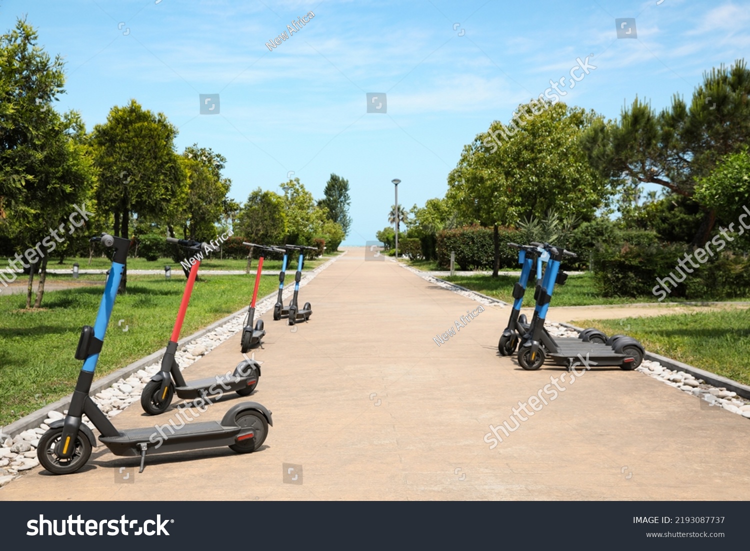 Many modern electric scooters in park. Rental service #2193087737