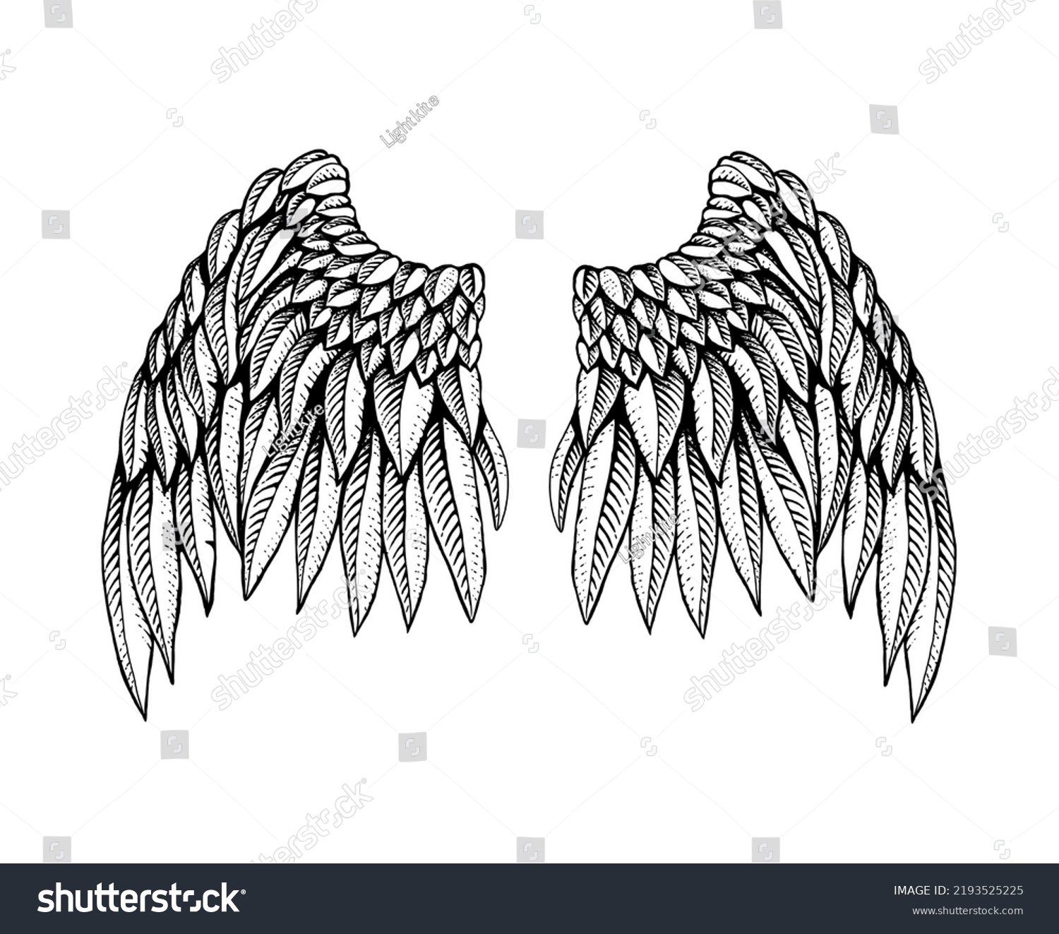 Hand Drawn Angel Wings Bird Wings Engraving Royalty Free Stock