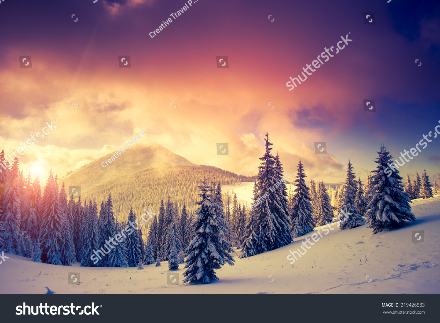 Fantastic evening landscape in a colorful sunlight. Dramatic wintry scene. National Park Carpathian, Ukraine, Europe. Beauty world. Retro style filter. Instagram toning effect. Happy New Year! #219426583