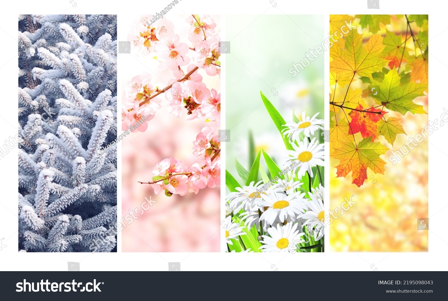 Four seasons of year. Set of vertical nature banners with winter, spring, summer and autumn scenes. Nature collage with seasonal scenics. Copy space for text #2195098043