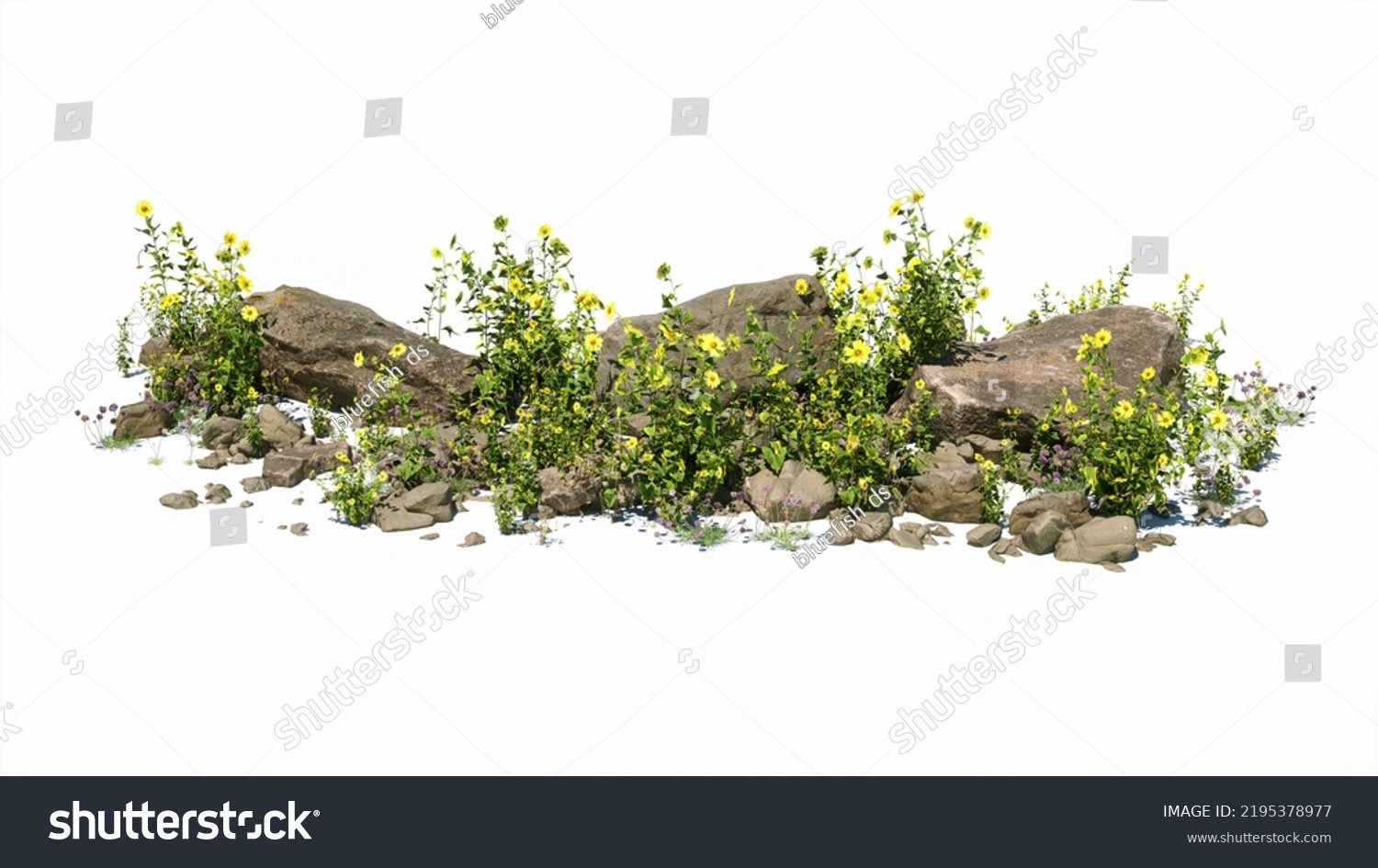 Cutout rock surrounded by yellow flowers. Garden design isolated on white background. Flowering shrub and green plants for landscaping. Decorative shrub and flower bed. #2195378977
