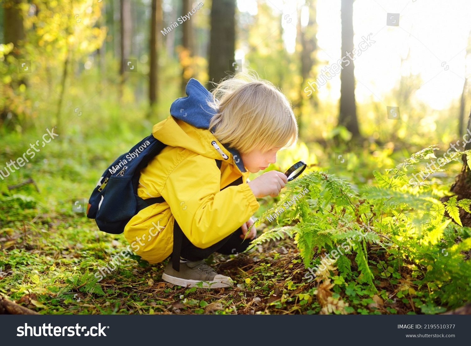 Preschooler boy is exploring nature with magnifying glass. Little child is looking on leaf of fern with magnifier. Summer vacation for inquisitive kids in forest. Hiking. Boy-scout #2195510377