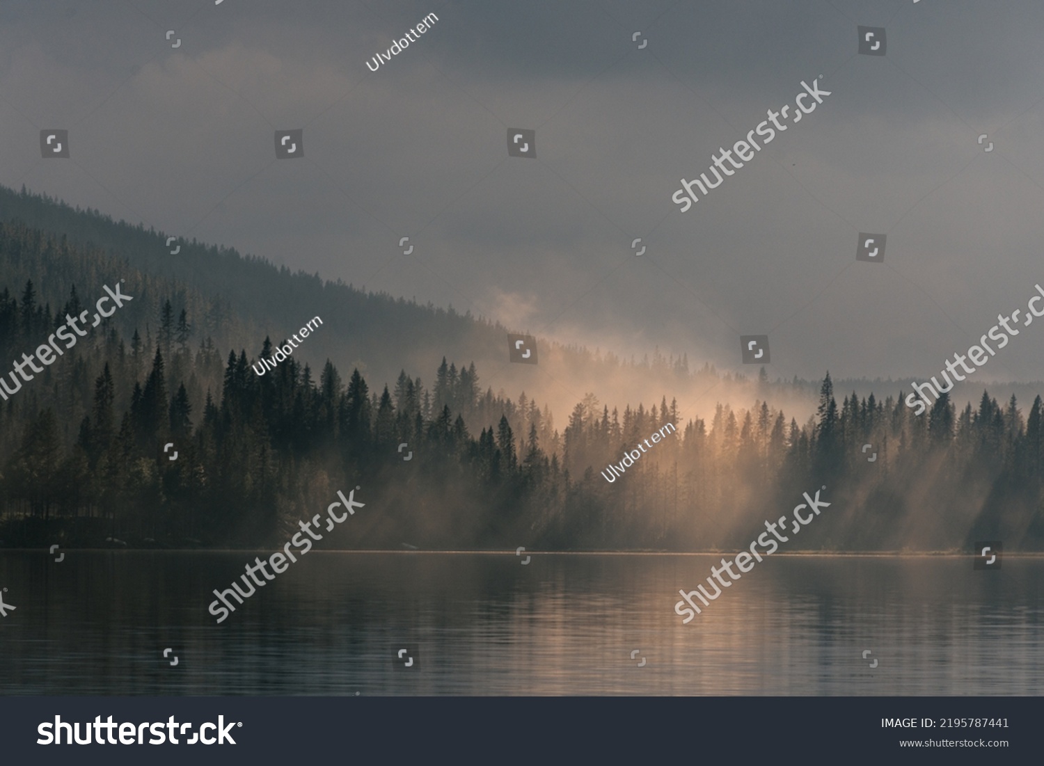 Foggy forest in navardalen sweden #2195787441