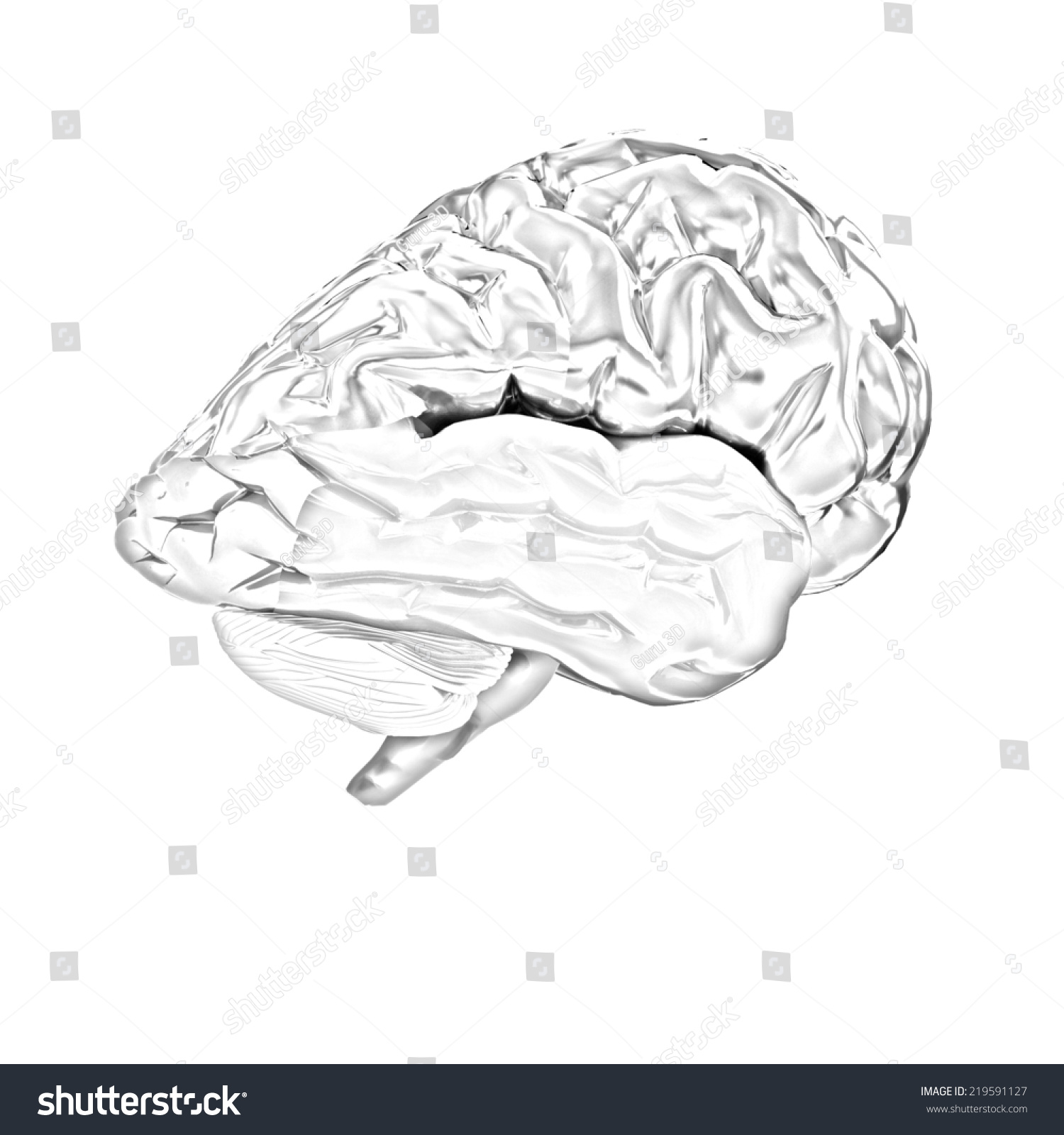 Human Brain Pencil Drawing Stock Photo 219591127 Avopix Com