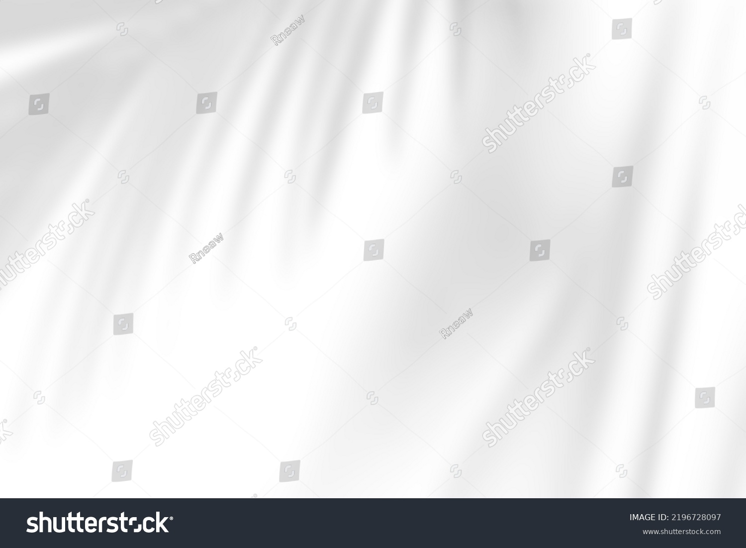 Abstract gray shadow background of natural palm leaves falling on white concrete wall texture with cracked line for background and wallpaper, black and white monochrome tone. #2196728097