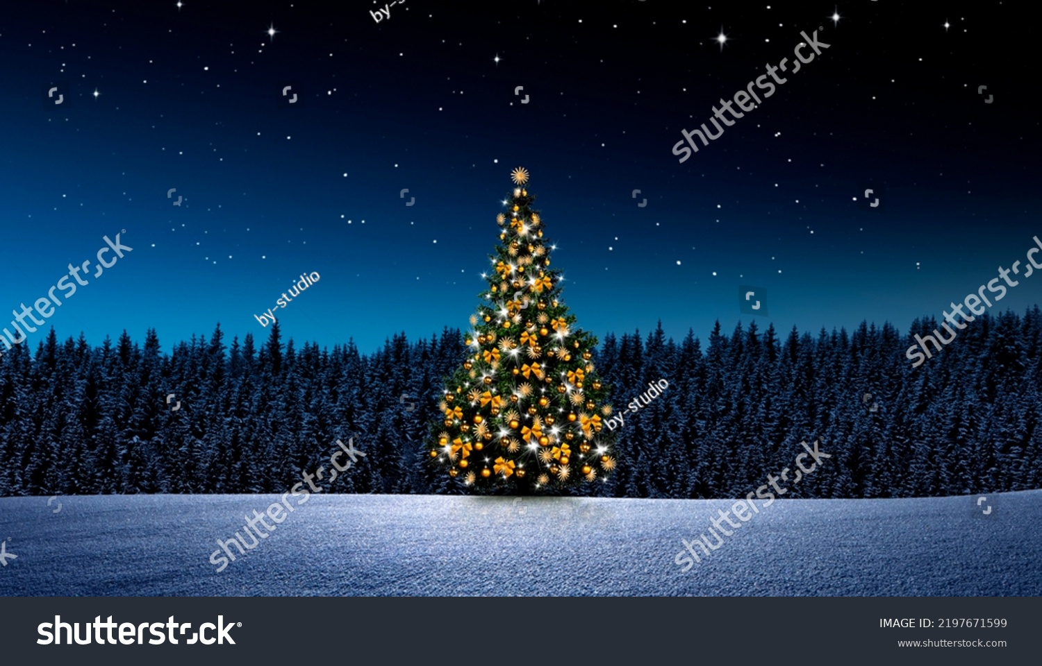 Christmas tree at night in winter #2197671599