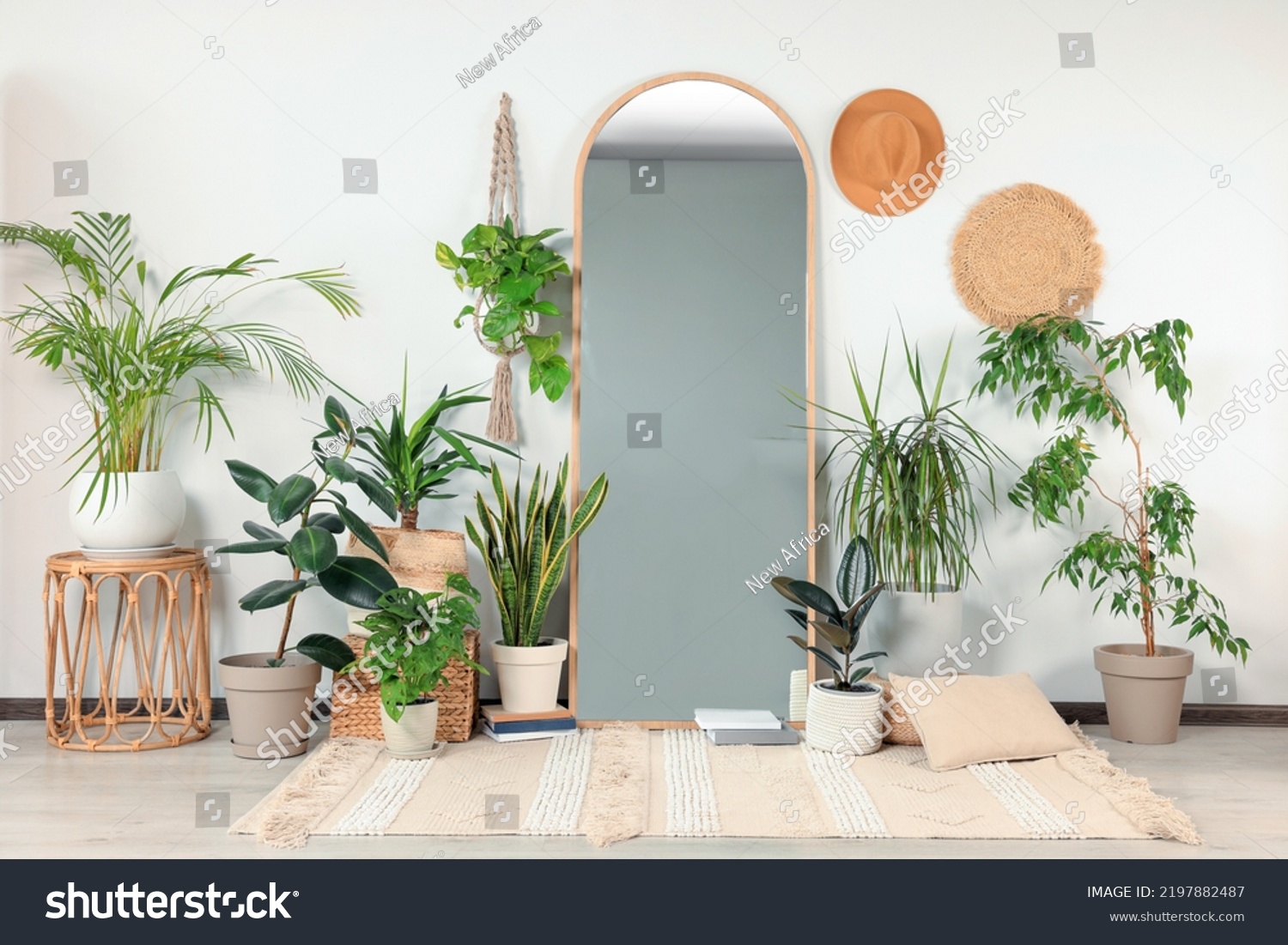 Stylish full length mirror and different houseplants near white wall in room #2197882487