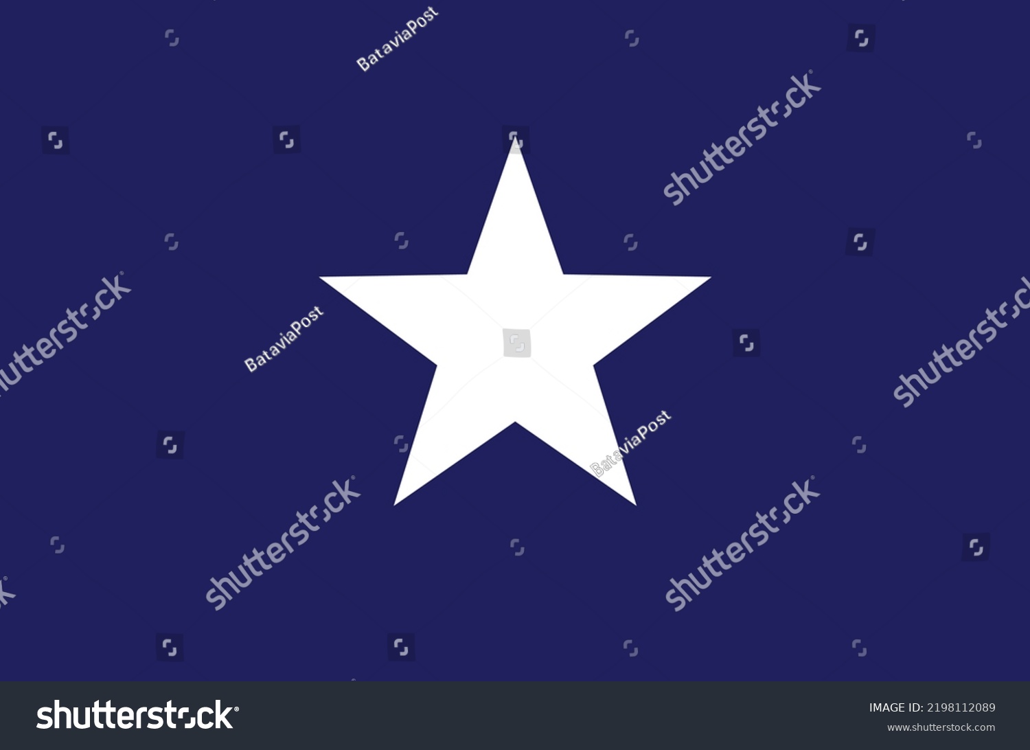 Lone Star Bonnie Blue, Texas Old Flag. Vector - Royalty Free Stock 