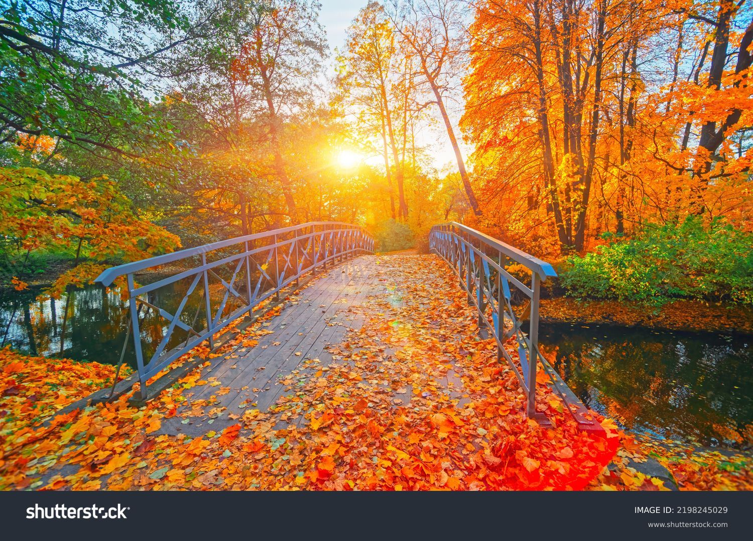 Autumn nature landscape. Lake bridge in fall forest. Path way in gold woods. Romantic view image scene. Magic misty sunset pond. Red color tree leaf park. Calm bright light, city sunrise, sunlight sun #2198245029