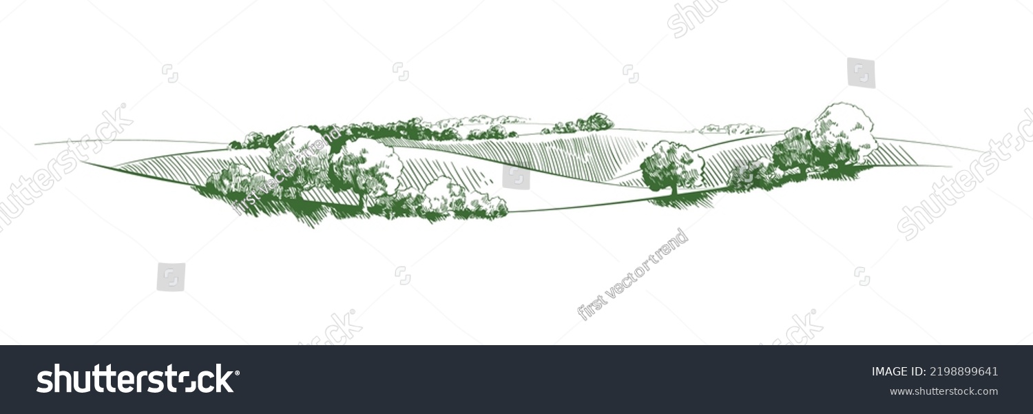 Vector sketch Green grass field on small hills. Meadow, alkali, lye, grassland, pommel, lea, pasturage, farm. Rural scenery landscape panorama of countryside pastures. illustration #2198899641