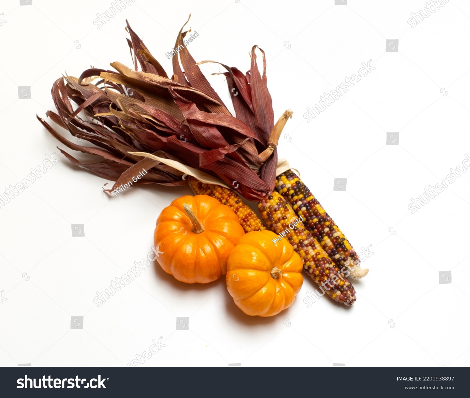 Autumn  Still life of corn and pumpkins isolated on white #2200938897