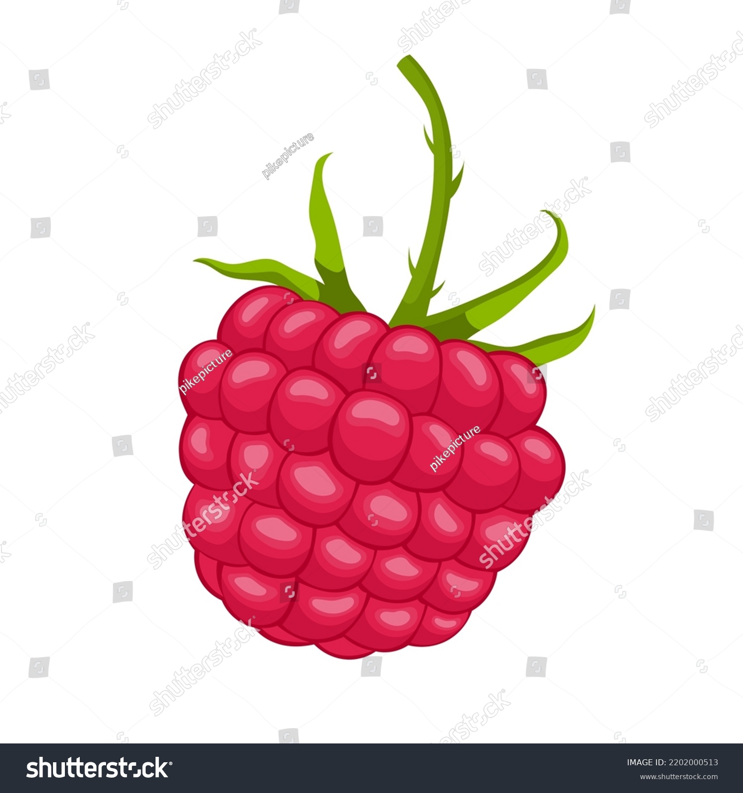 raspberry berry cartoon. red fruit, leaf plant, food fresh, sweet green, dessert ripe, single leaves raspberry berry vector illustration #2202000513