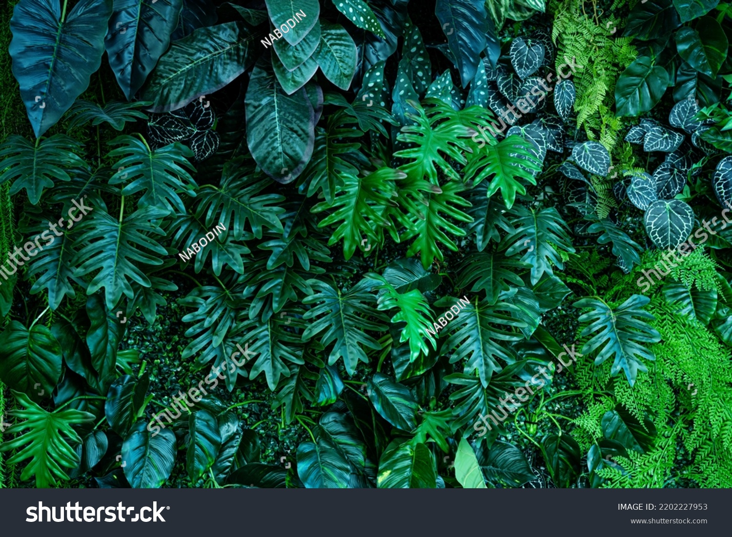 Full Frame of Green Leaves Pattern Background, Nature Lush Foliage Leaf Texture, tropical leaf #2202227953