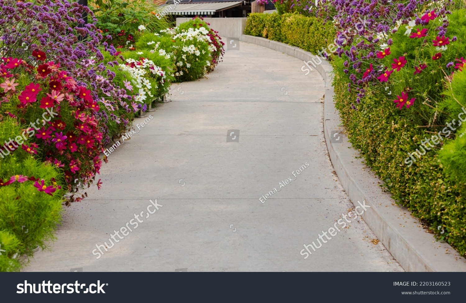 Walkway in flower garden in summer time. View of Colourful Flowerbeds in a good care maintenance landscapes and asfalt concrete walkway. Nobody, street photo, selective focus, blurred #2203160523