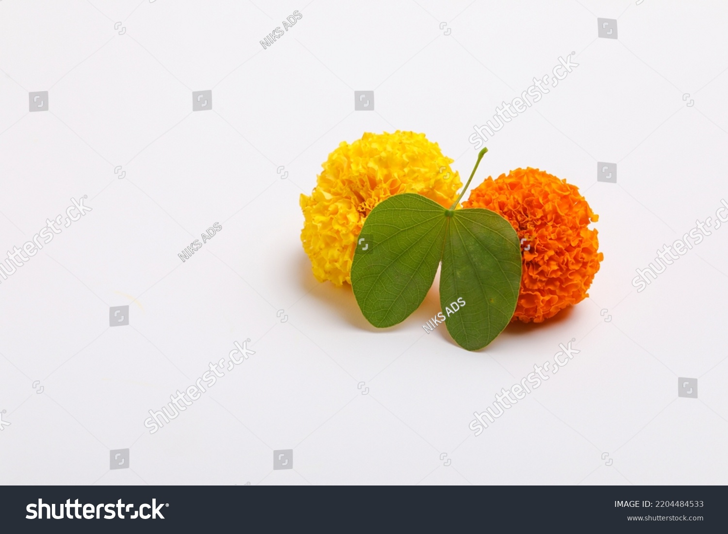 Indian Festival Dussehra, showing golden leaf (Piliostigma racemosum) and marigold flowers on white background. #2204484533