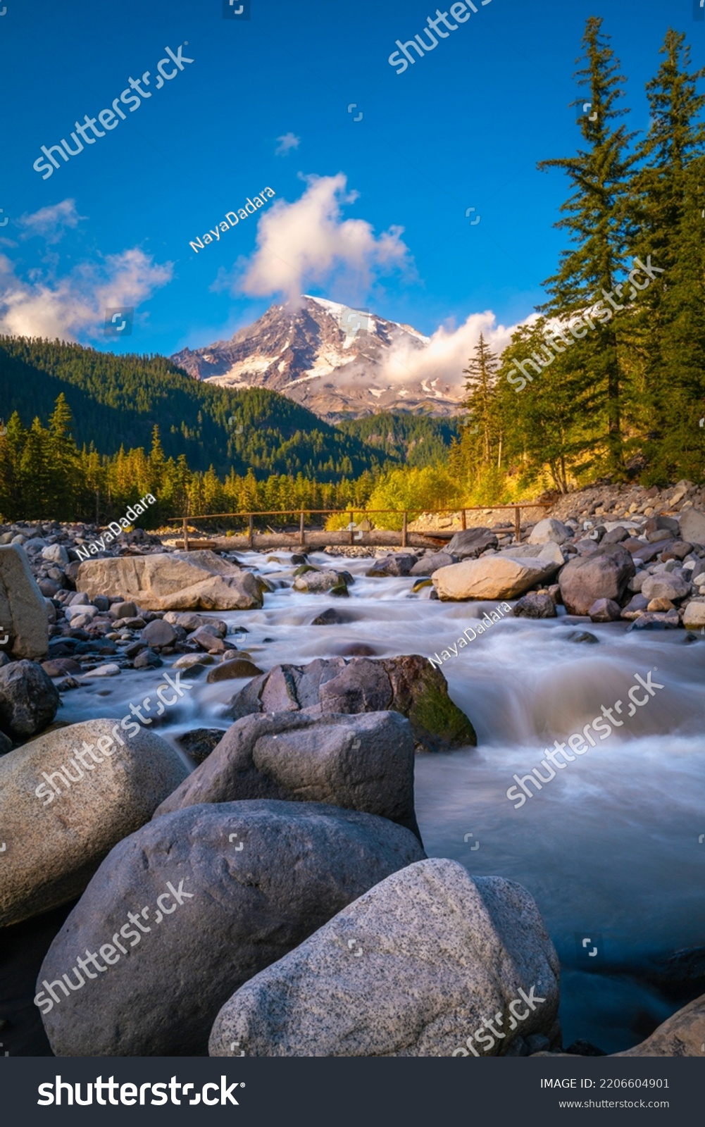 Mount Rainier, spruce forest, glacial rocks, and the Nisqually River in Mt Rainier National Park in Washington State. Majestic tranquil autumn landscape of the Cascade Mountains in North America.  #2206604901