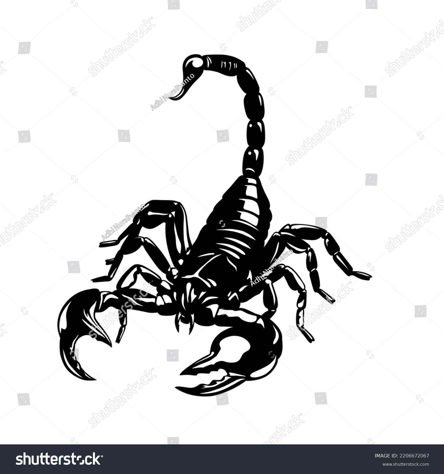 black and white scorpion vector image, suitable - Royalty Free Stock ...