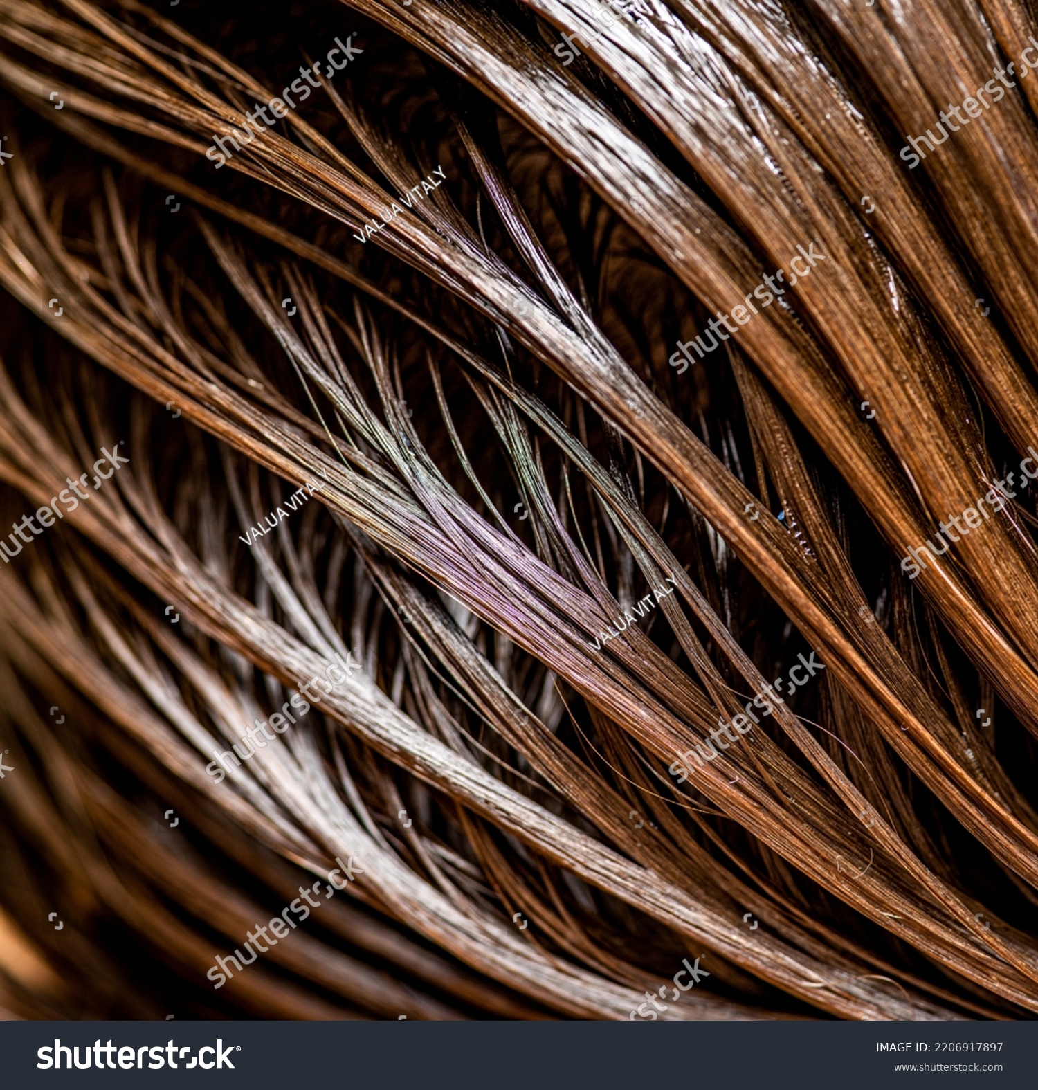 Beautiful wet long hair of a girl. Hair coloring in a beauty salon. Macro photography of women's hair. Concept of hair care. Beauty care concept.  #2206917897