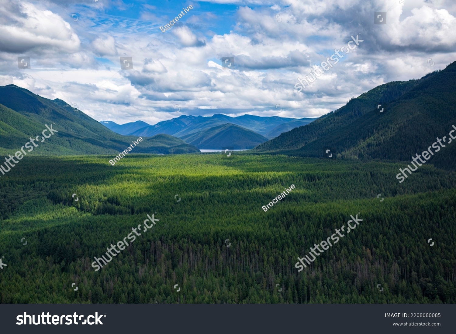 Beautiful Mountain landscape in the Snoqualmie National Forest of Washington state. View from above of a natural pine forest in the Pacific Northwest USA. Natural beauty of a scenic background #2208080085