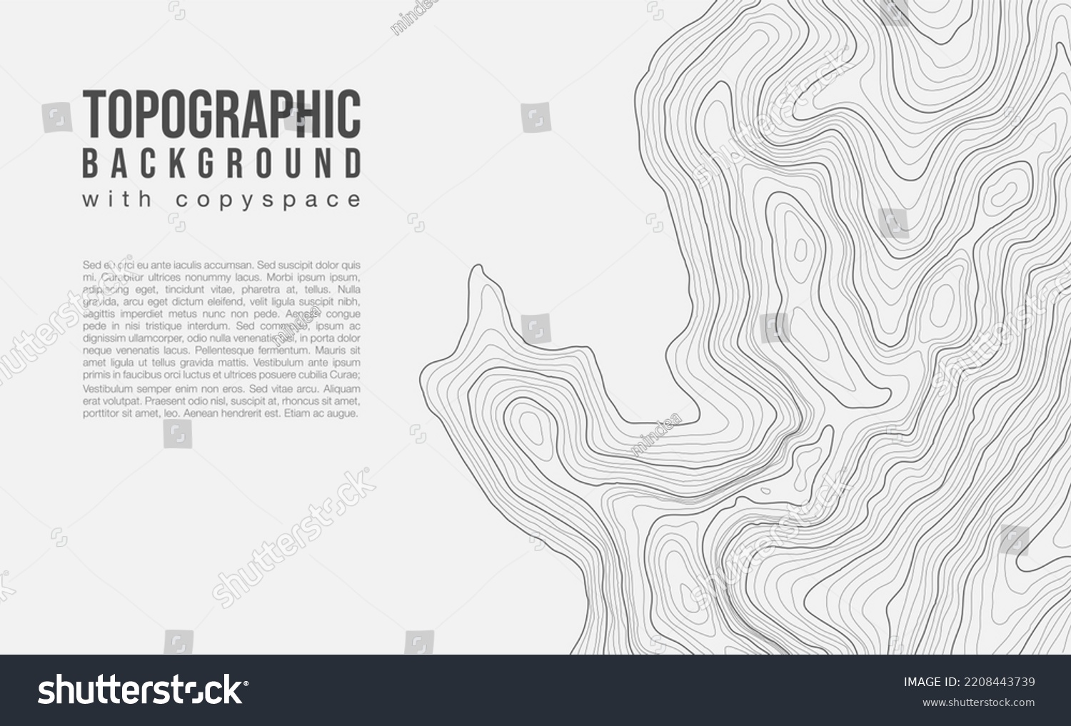 Fully editable and scalable vector illustration of topographic map with a copy space on a light background. Great as an abstract background. #2208443739