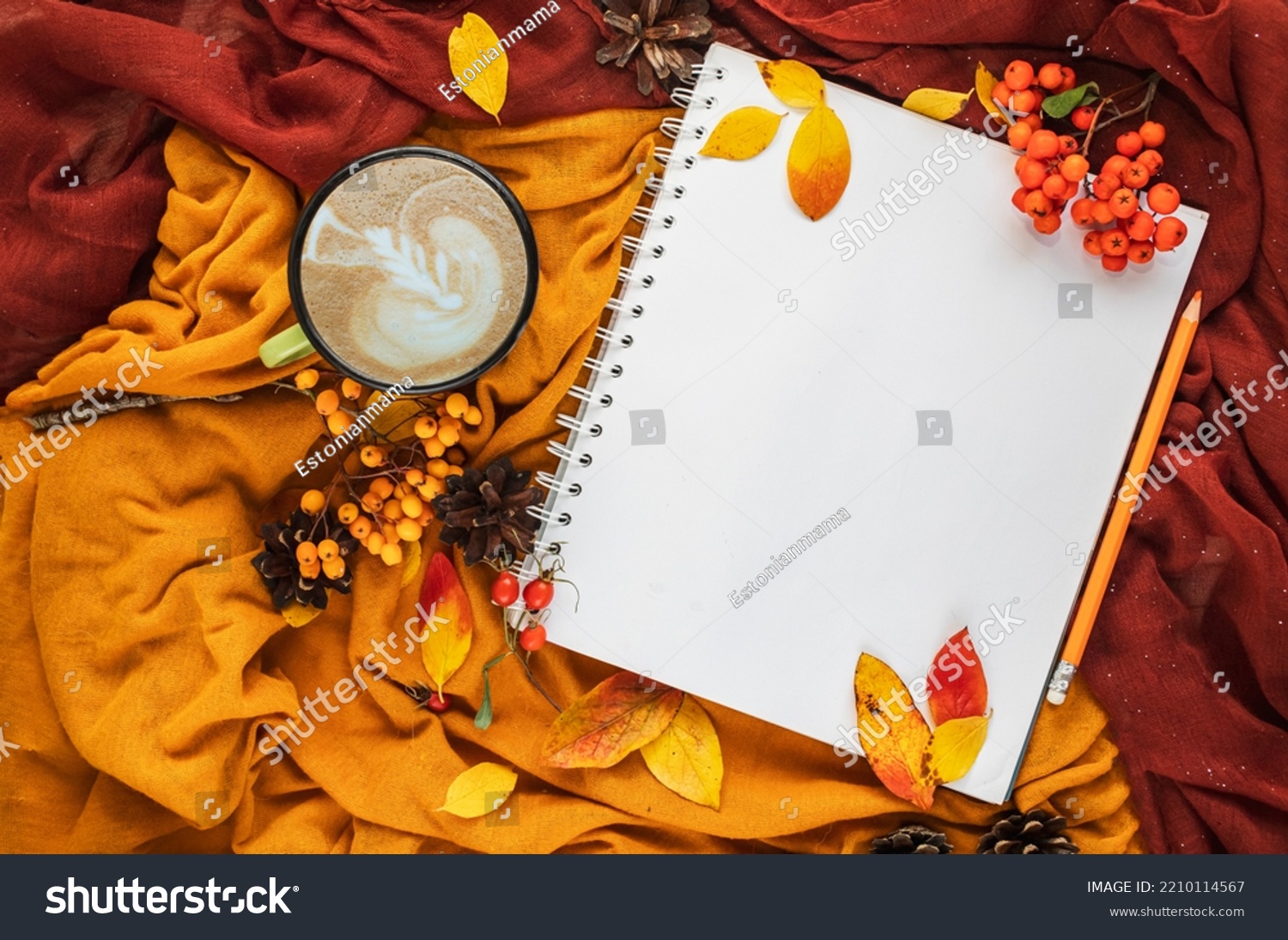 Autumn home cozy composition with yellow and burgundy blankets, cup of coffee, red and yellow leaves and notebook with copy space. Fall season template for feminine blog social media. #2210114567