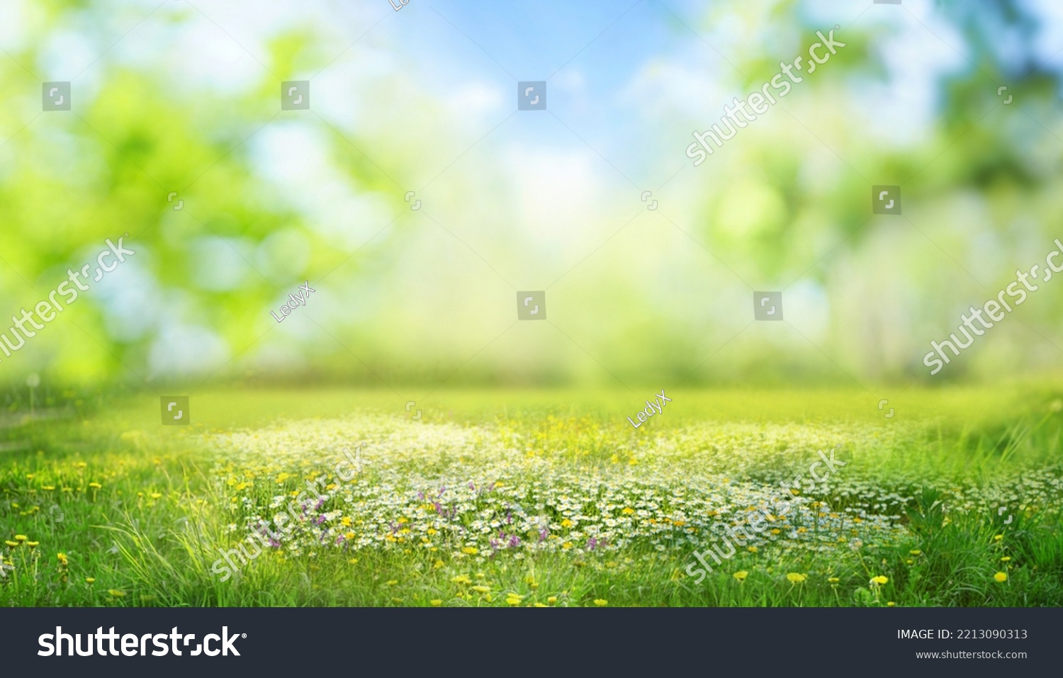 Beautiful blurred spring background nature with blooming glade, trees and blue sky on a sunny day. #2213090313