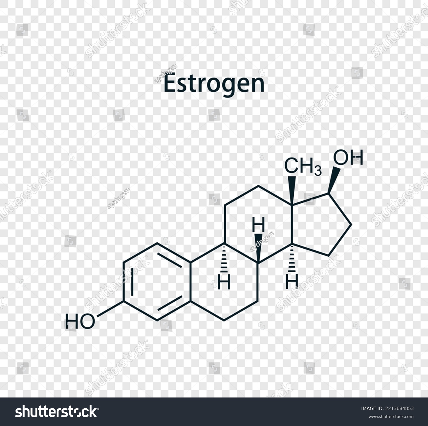 Estrogen Estradiol Chemical Structure Vector Royalty Free Stock Vector 2213684853 1807