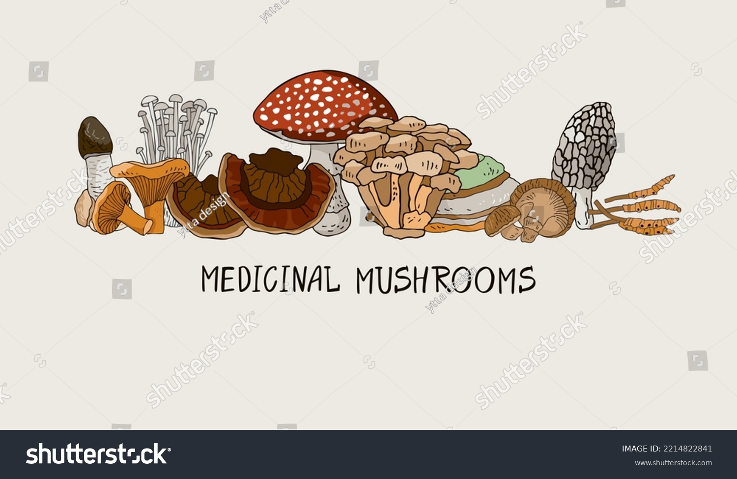 Banner with medicinal mushrooms, lettering isolated on beige. Background with symbols of folk medicine for posters, social media. Postcard with plants for phytotherapy. Cartoon vector illustration. #2214822841