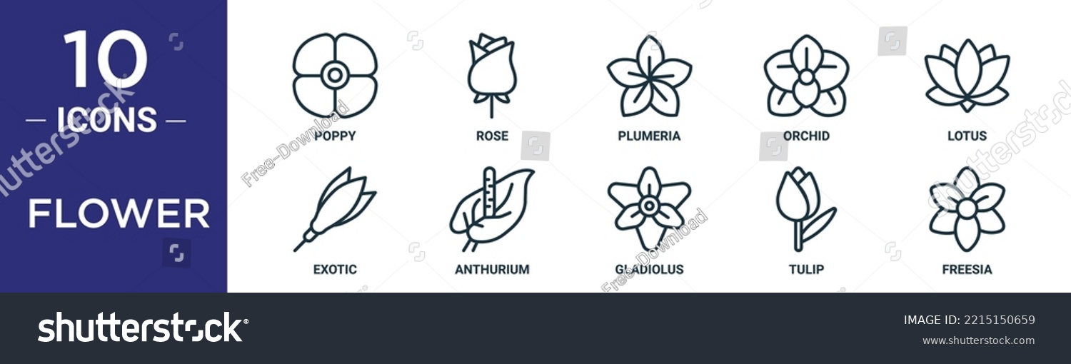 flower outline icon set includes thin line poppy, rose, plumeria, orchid, lotus, exotic, anthurium icons for report, presentation, diagram, web design #2215150659