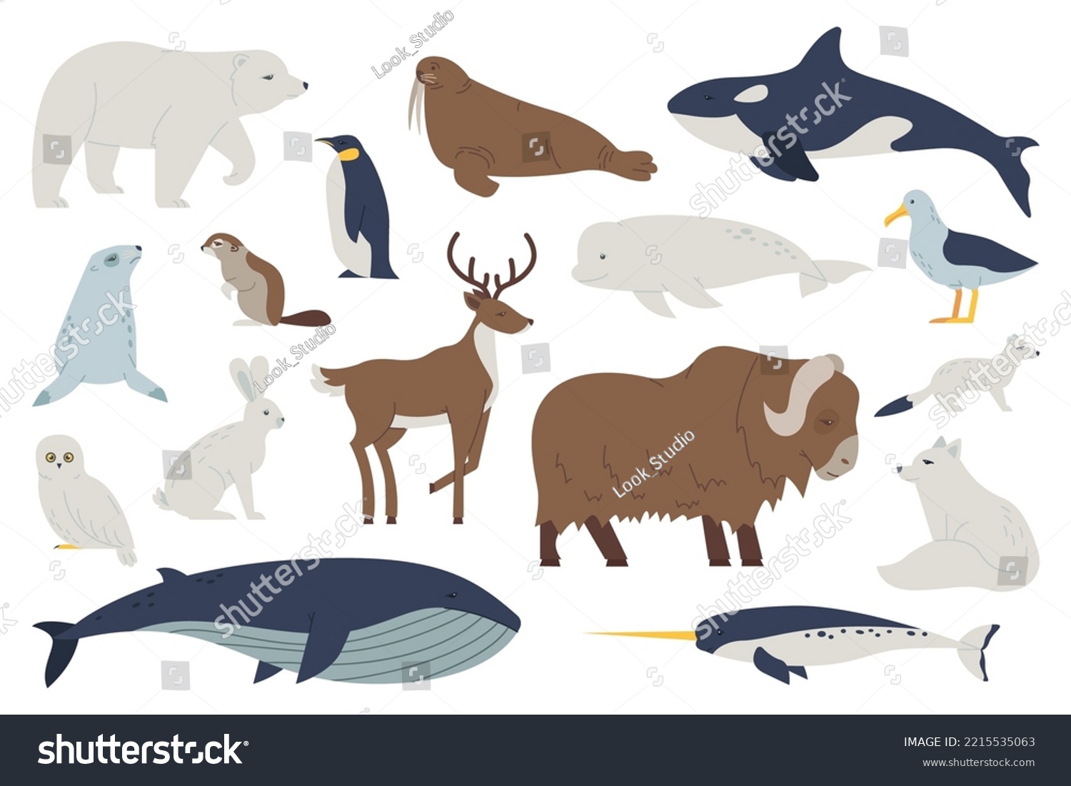 Set of arctic animals. Cartoon whale, polar bear - Royalty Free Stock