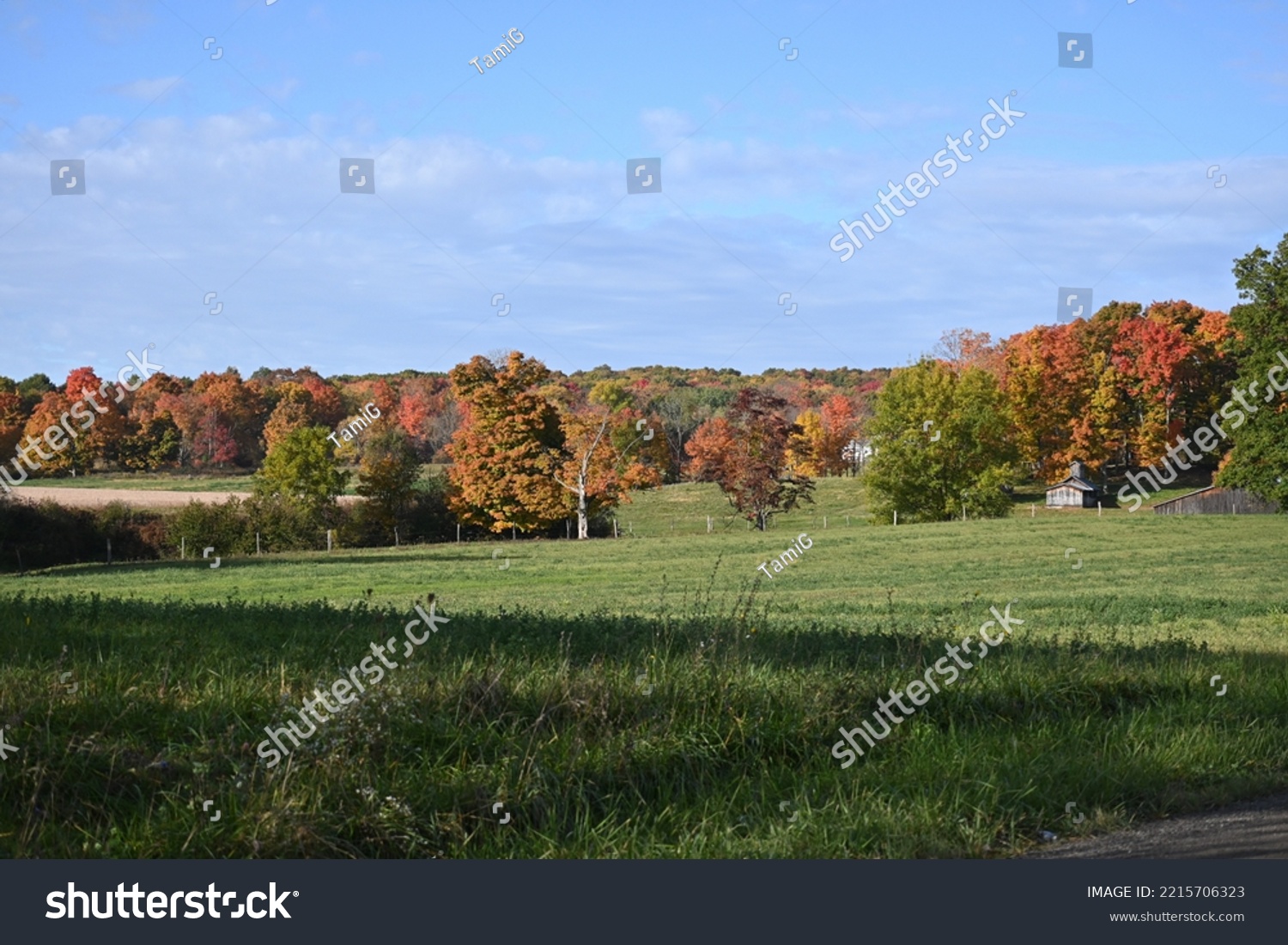 Amish sugarhouse in the autumn countryside #2215706323