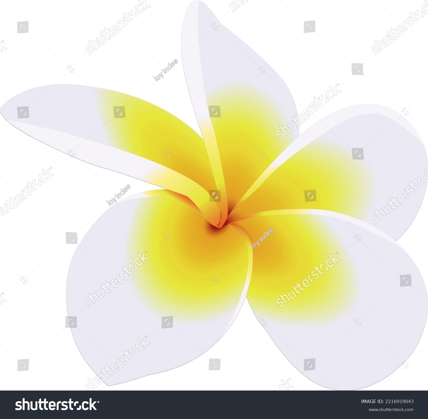 The national flower of Laos - Royalty Free Stock Vector 2216919043