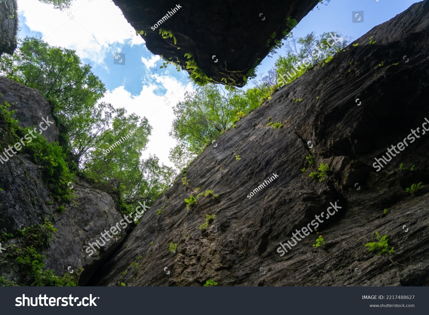 View from below from the crevice on the steep overhanging walls of rocks and trees against the sky #2217488627