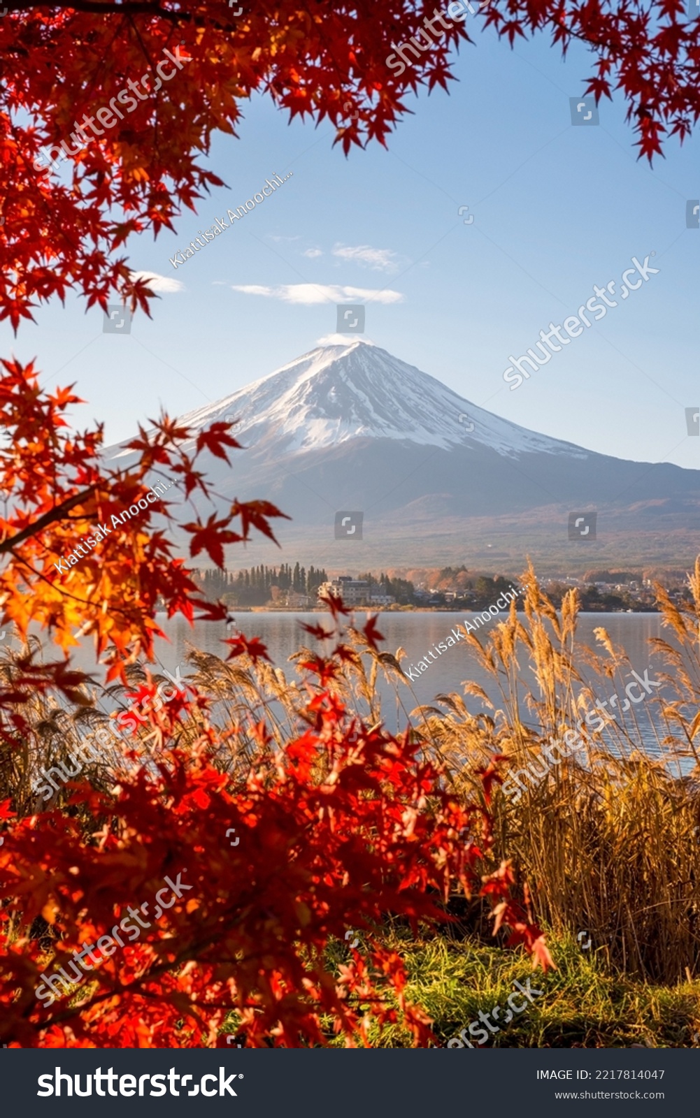 Aerial Skyline Landscape of Fuji Mountain with Beautiful Autumn Leaves. Iconic and Symbolic Mountain of Japan. Scenic Sunset Landscape of Fujisan at Evening Time, Kawaguchiko, Yamanashi, Japan. #2217814047