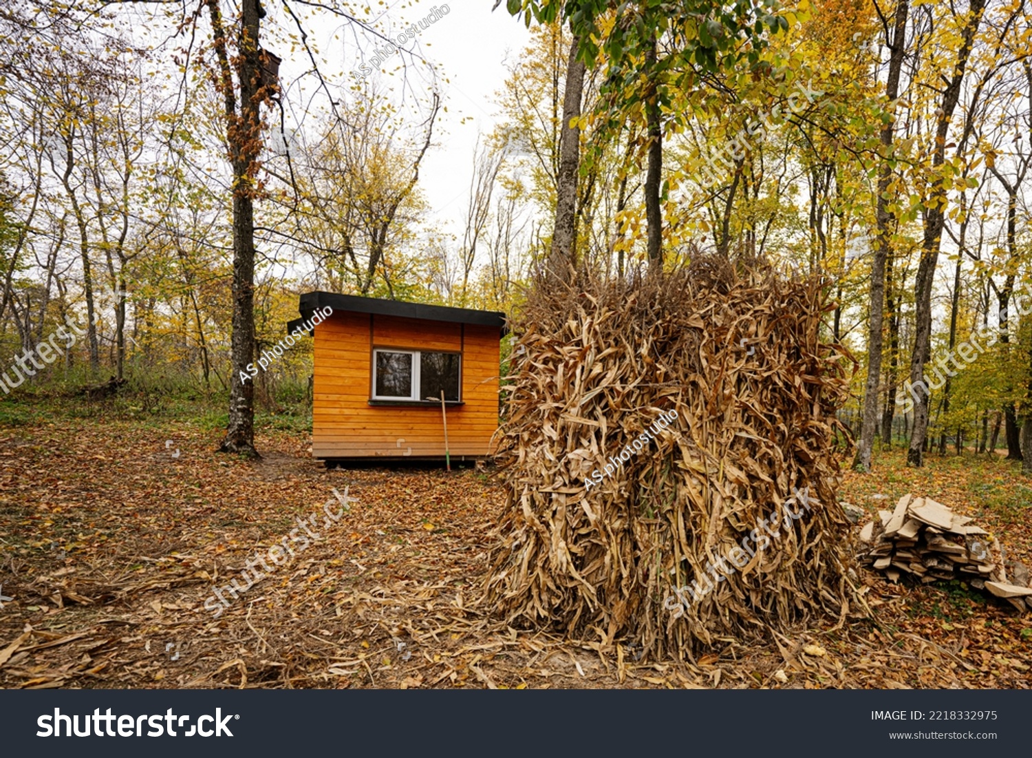 Forester's house in autumn forest with ear of corn. #2218332975