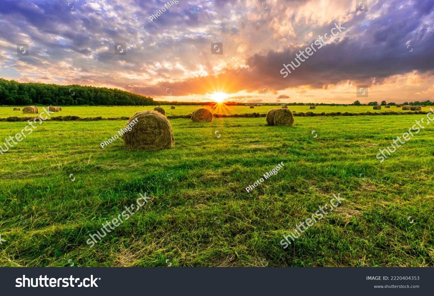Scenic view at beautiful spring sunset in a green shiny field with green grass and golden sun rays, deep blue cloudy sky on a background , forest and country road, summer valley landscape #2220404353