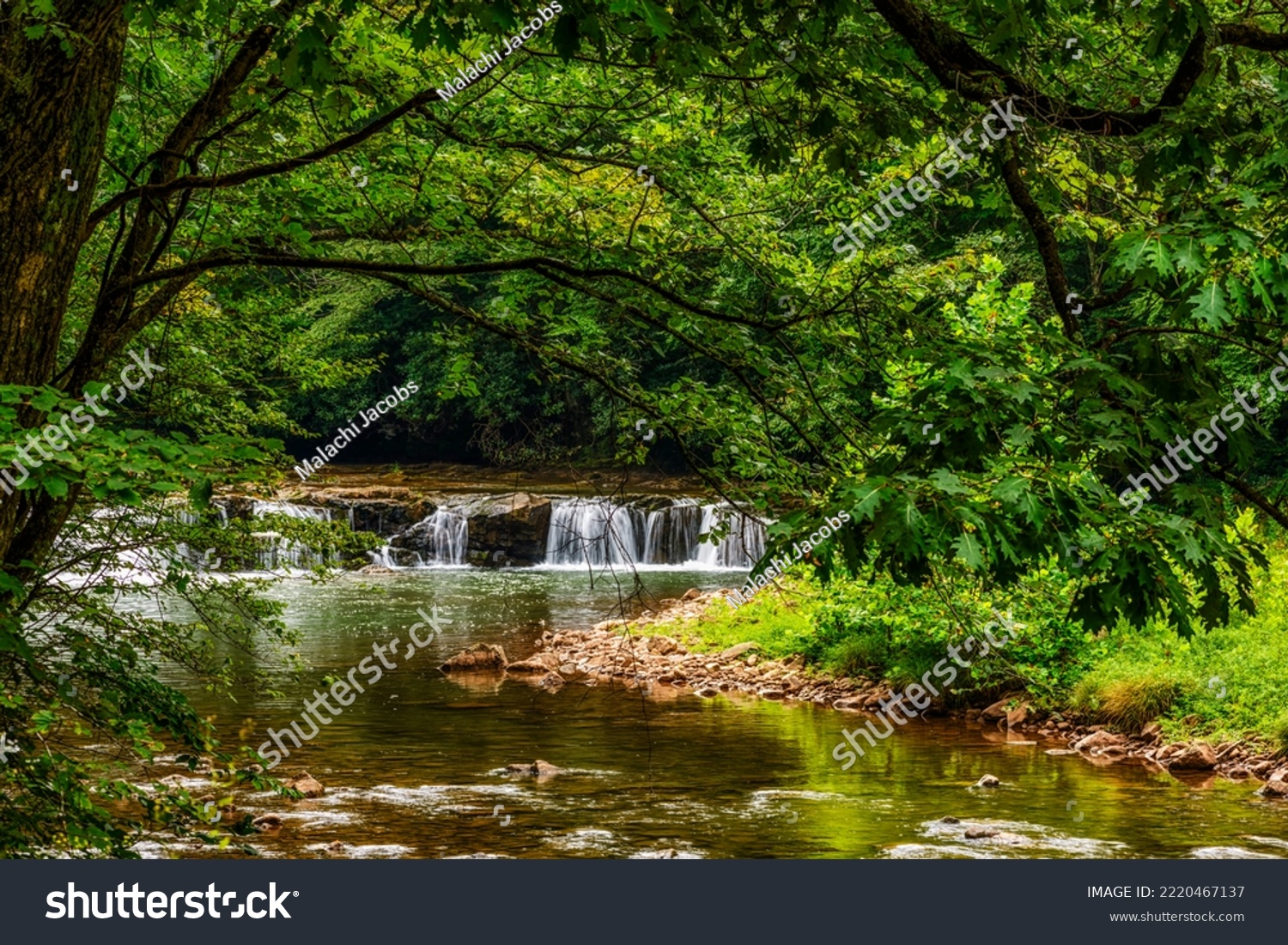 Whitaker Falls in summer on Elk River, Webster County, West Virginia, USA #2220467137