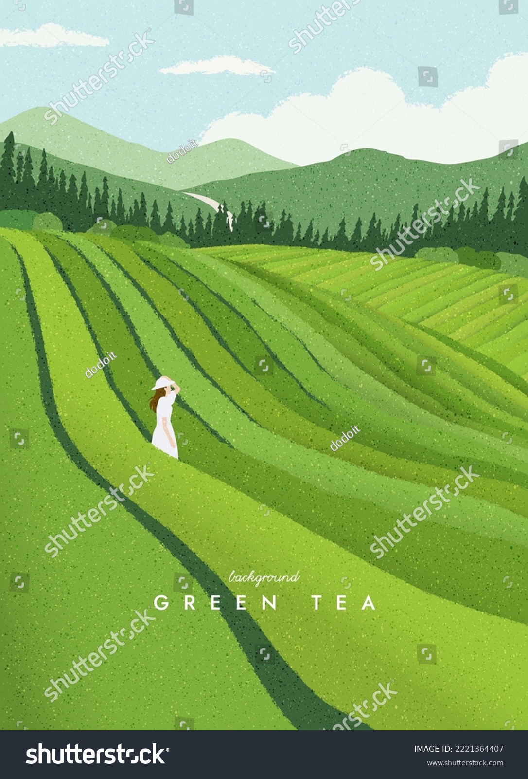 Green tea plantation landscape. Rural farmland fields, Terraced farmer, hills with greenery and mountain on horizon. agriculture background. Simple graphic. Trendy flat design. Vector illustration. #2221364407