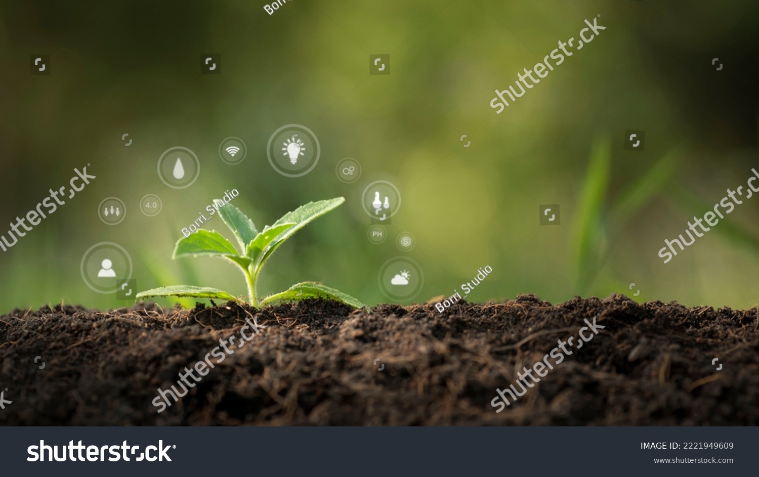 agricultural growth concept It has both the benefits of soil and plants. Including the use of artificial intelligence agriculture technology in 5G Industry 4.0 technology that needs to be improved. ai #2221949609