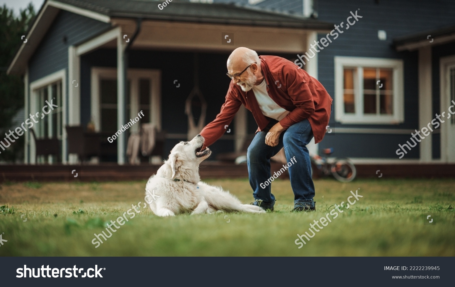 Cheerful Senior Man Enjoying Time Outside with a Pet Dog, Petting a Playful White Golden Retriever. Happy Adult Man Enjoying Leisure Time on a Front Yard in Front of the House. #2222239945