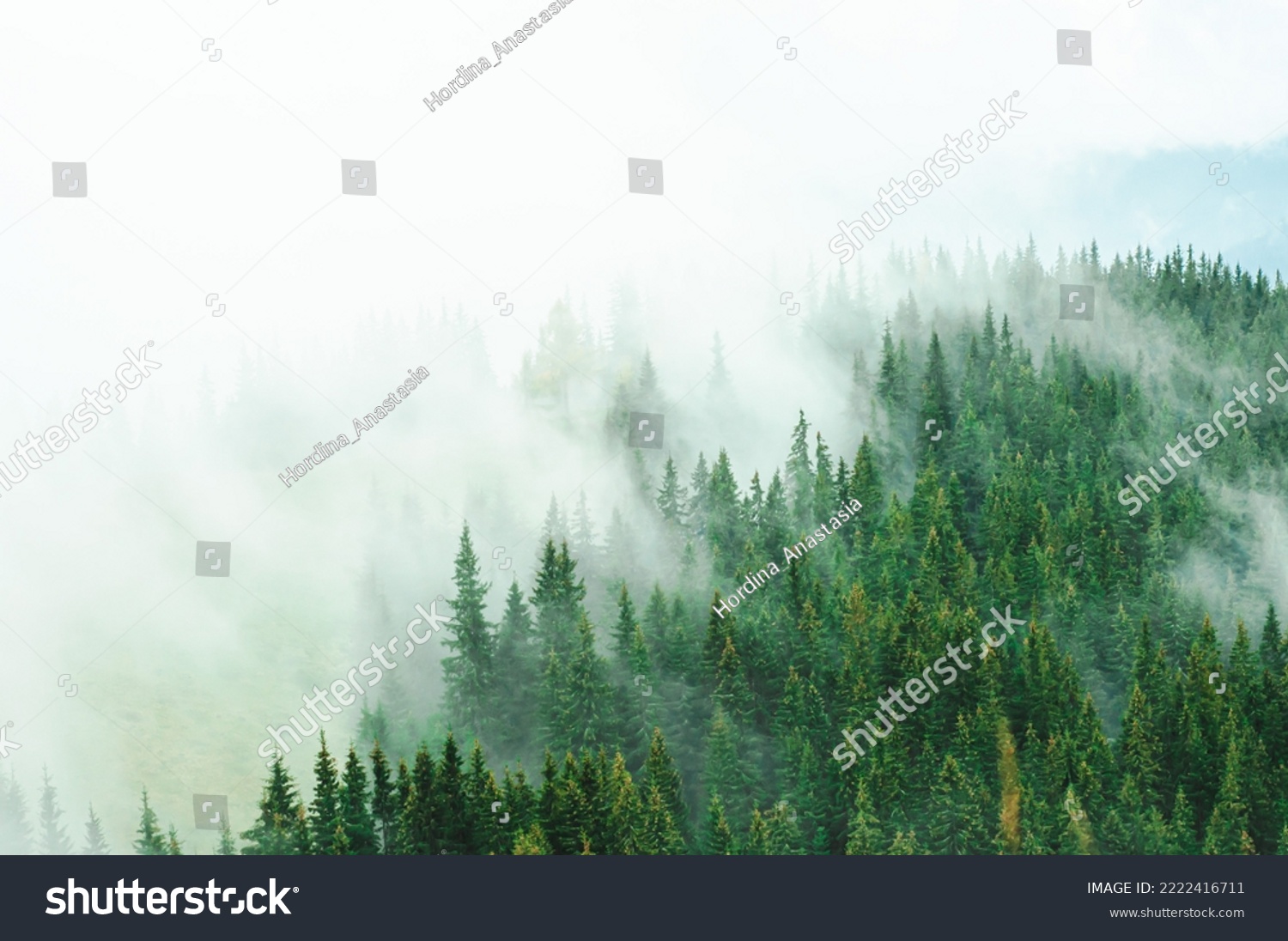 landscape green forest and mountains fog covers receding silhouettes of trees travel rest recovery in nature outdoor vacation in the Carpathians space for text atmosphere wallpaper screensaver pattern #2222416711