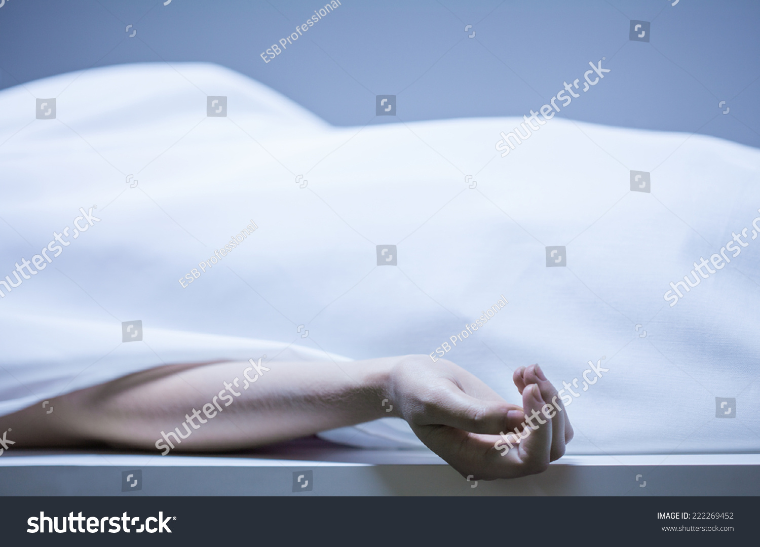 Remains of person in the morgue, horizontal #222269452