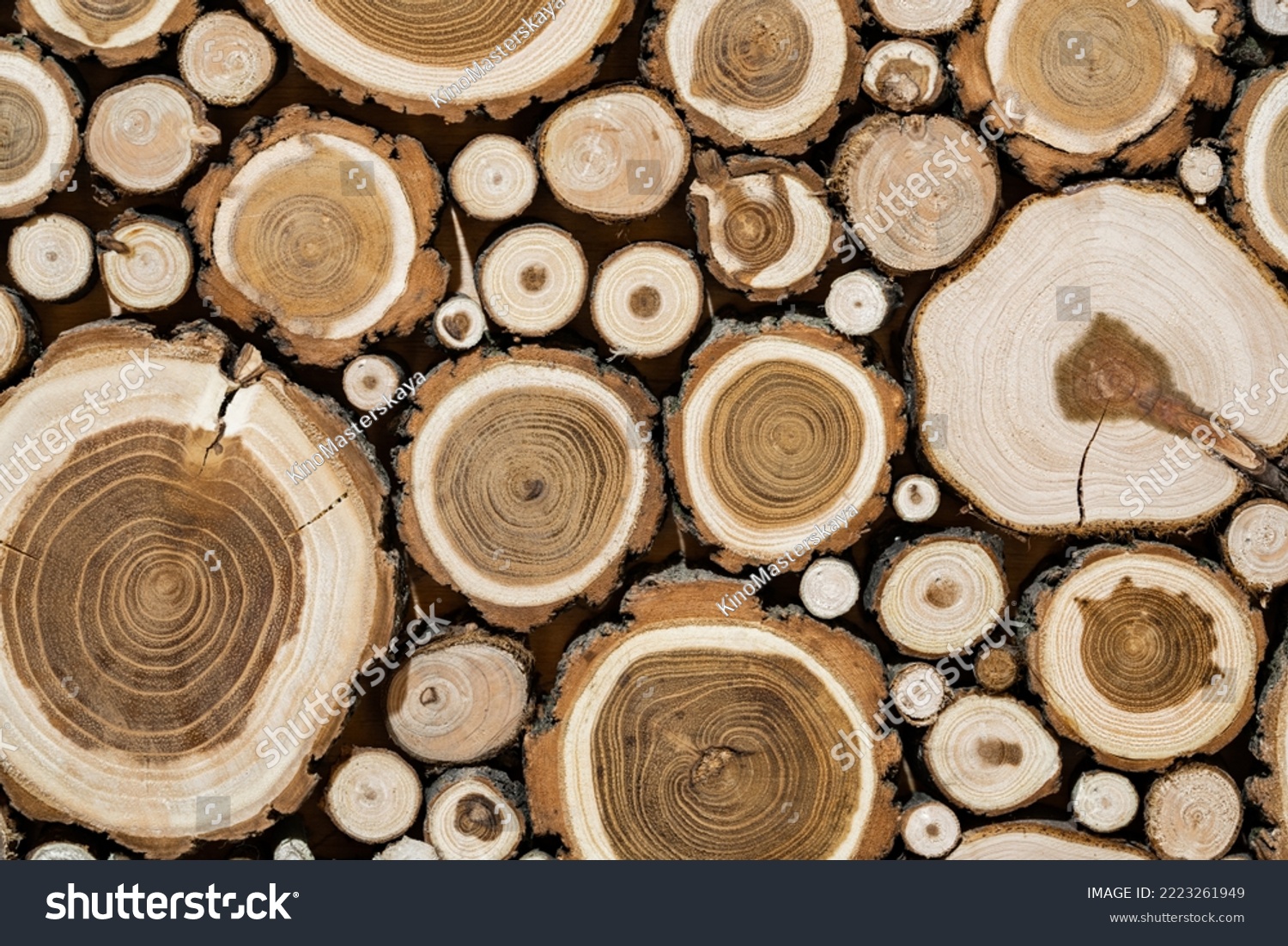 Background of cross section of round cut logs of various sizes. Wall of cut brown logs with bark, cracks and texture of tree rings. Cut tree trunk. Firewood, stumps, lumber. Wooden background pattern. #2223261949
