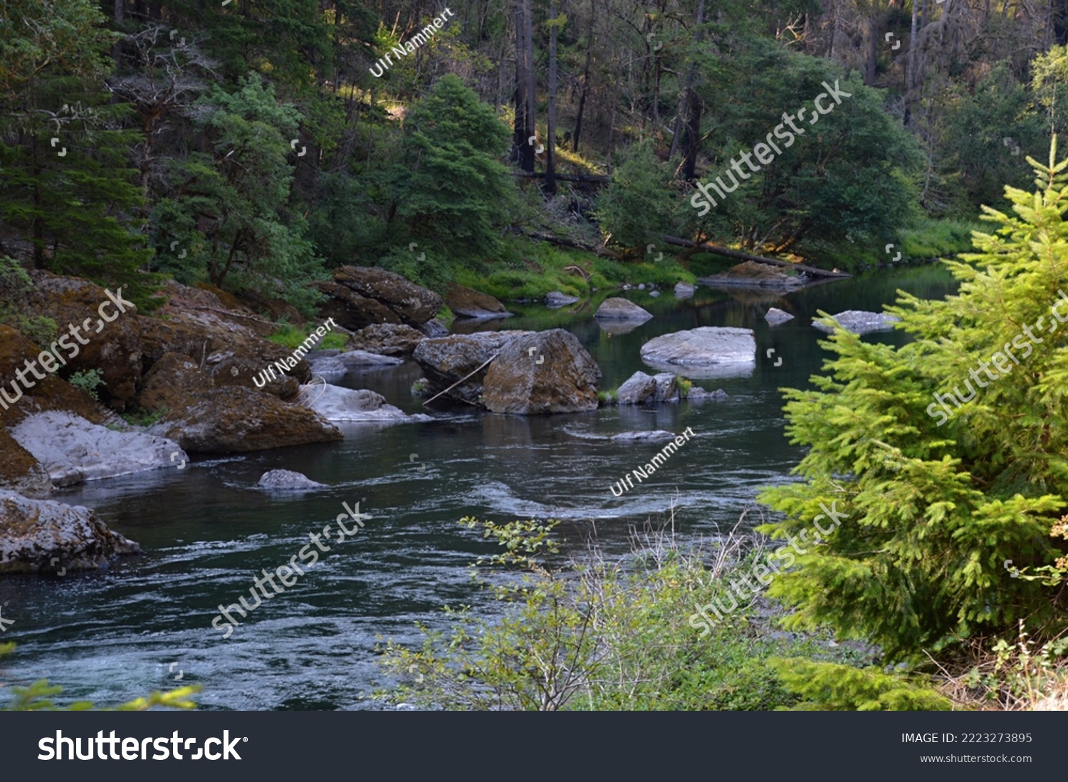 Landscape at the Umpqua River in the Cascade Range, Oregon #2223273895