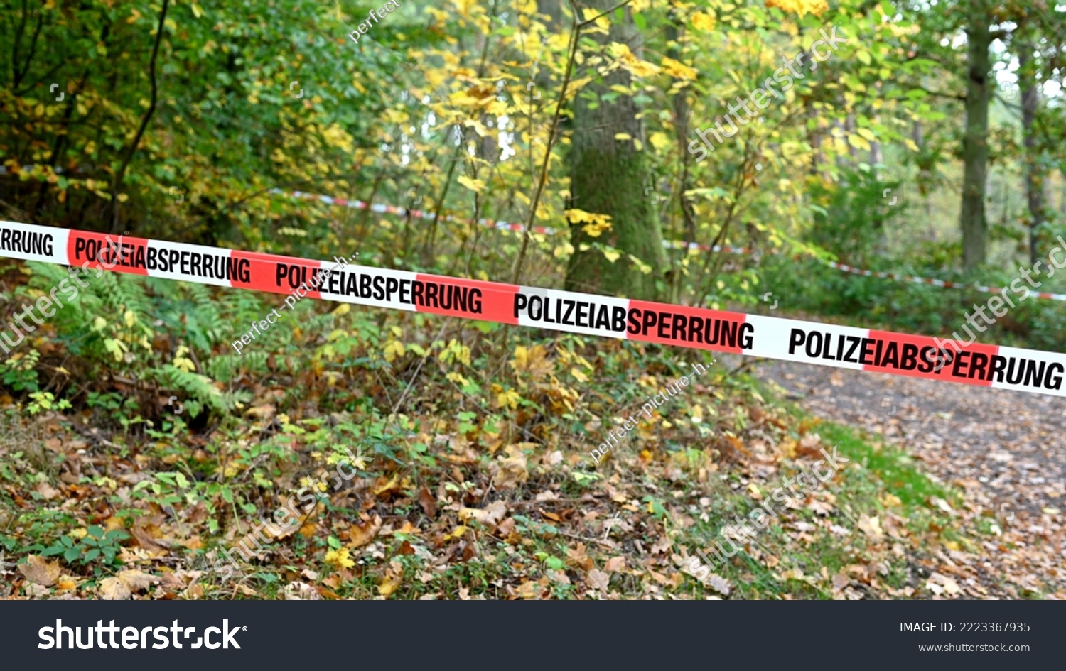 A cordon with red and white police tape and a notice of a police cordon off an area in a forest in autumn in a German forest #2223367935
